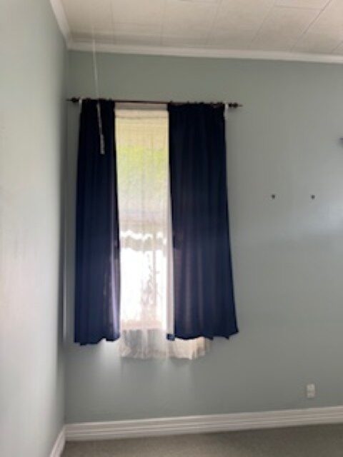 6537651e-8604-48ba-b413-e71a6a5a5101