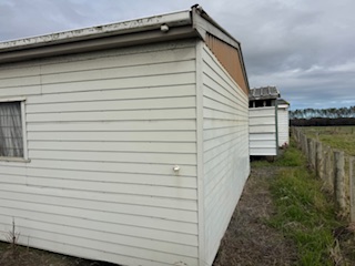 Orange Crush Shed (5)