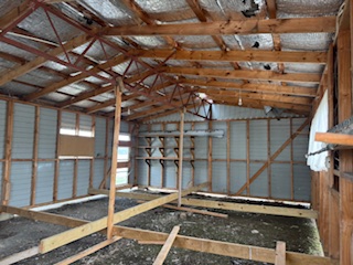 Orange Crush Shed (6)